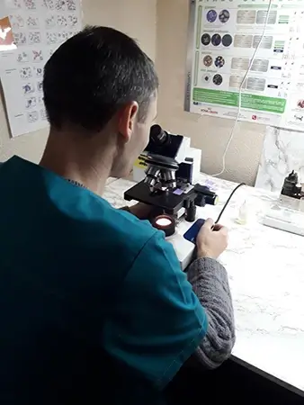 Мікроскопія та цитологія